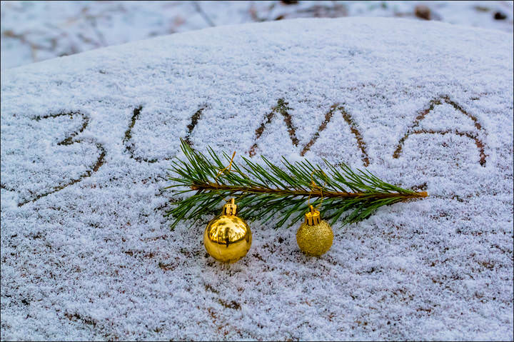 С НОВЫМ ГОДОМ!!!