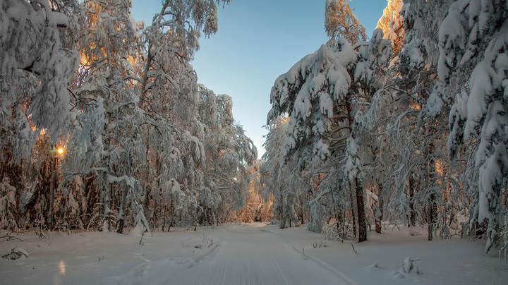 Зимняя дорога