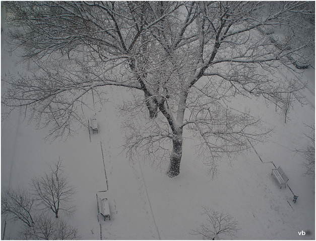 Снег