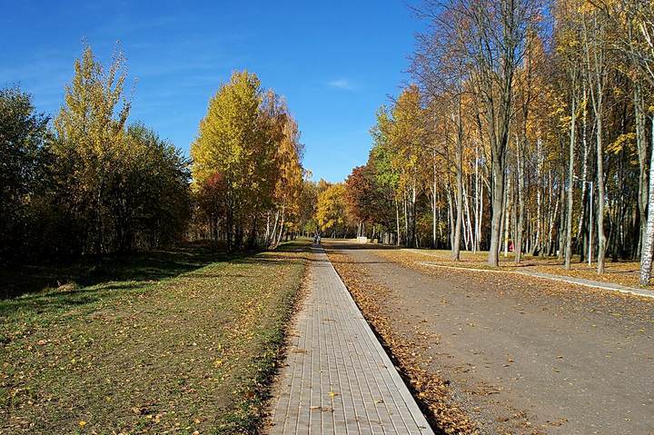 Осенняя зарисовка.
