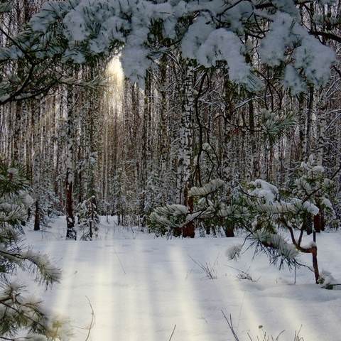 Зимние зарисовки