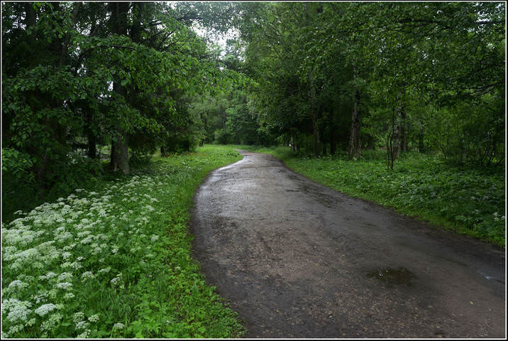  В парке
