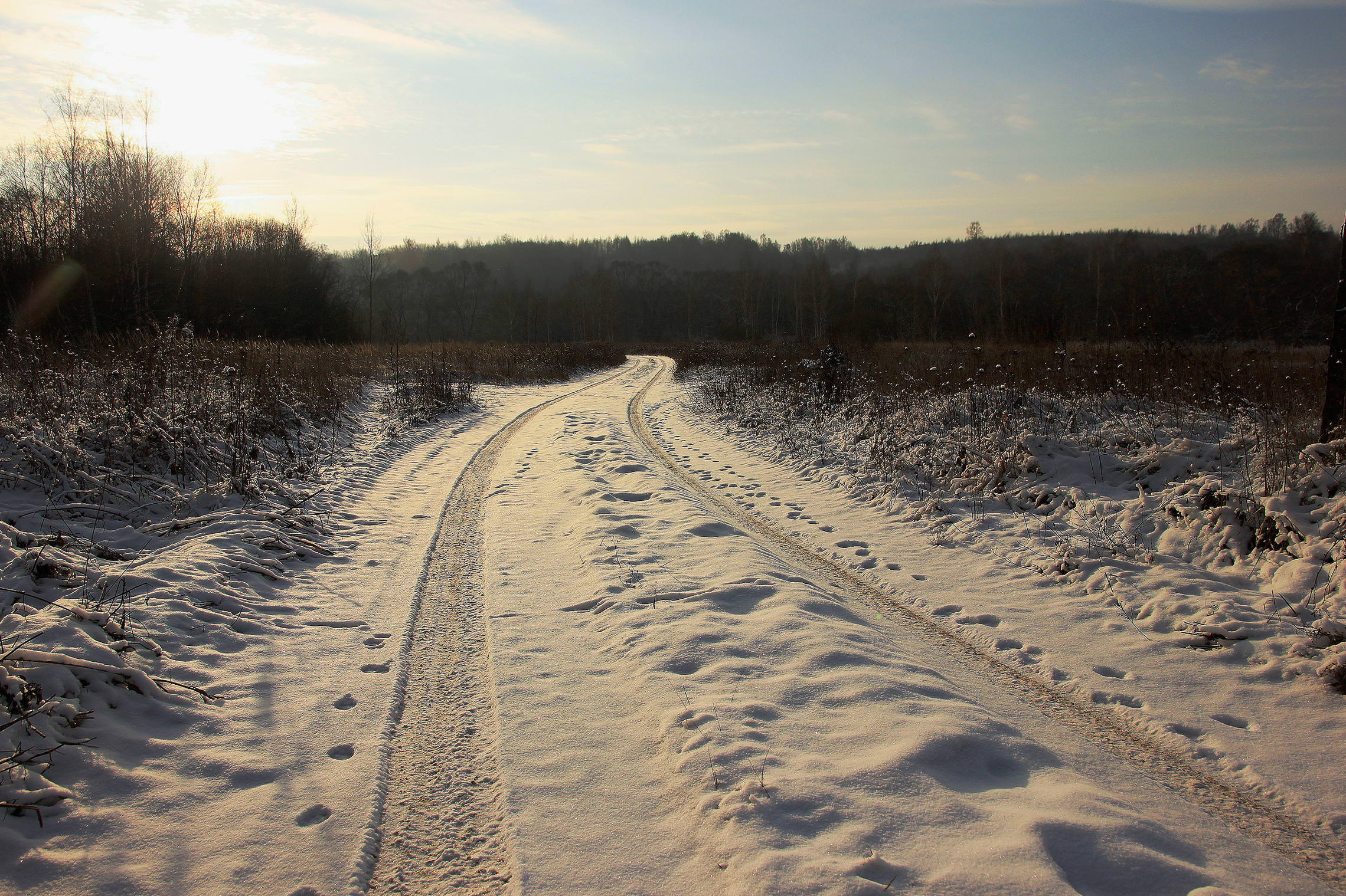 По зимней дороге