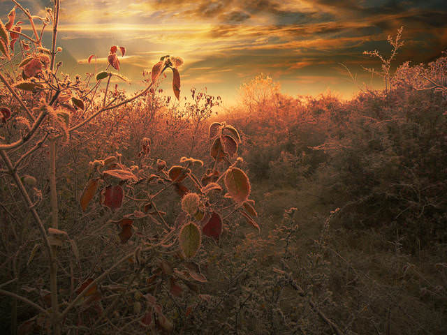 зимние мотивы 