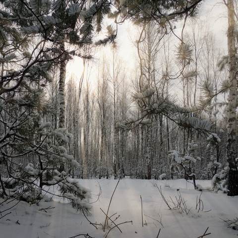 Зимние зарисовки