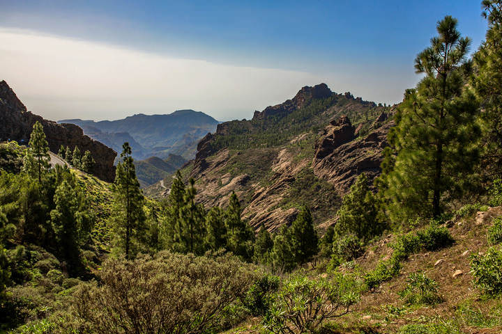 Spain 2015 Canary Gran Canaria 6