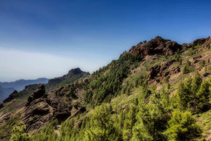 Spain 2015 Canary Gran Canaria 7