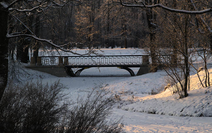 В морозный январский день