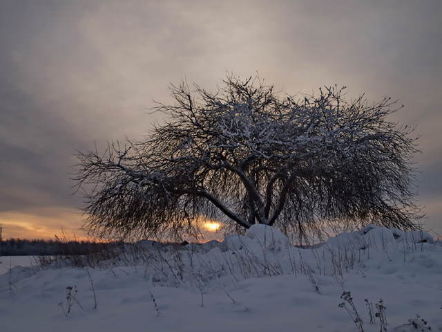 Холод утра