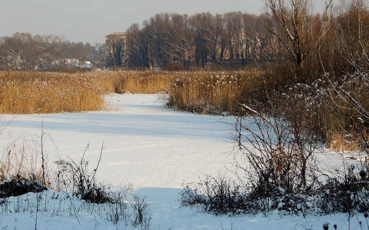 Зимние зарисовки