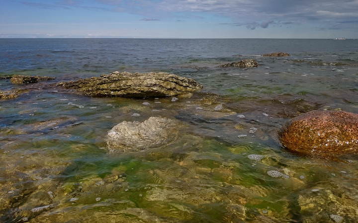 когда пришла вода.