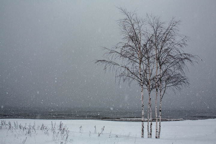 Saulkrasti 160116 1
