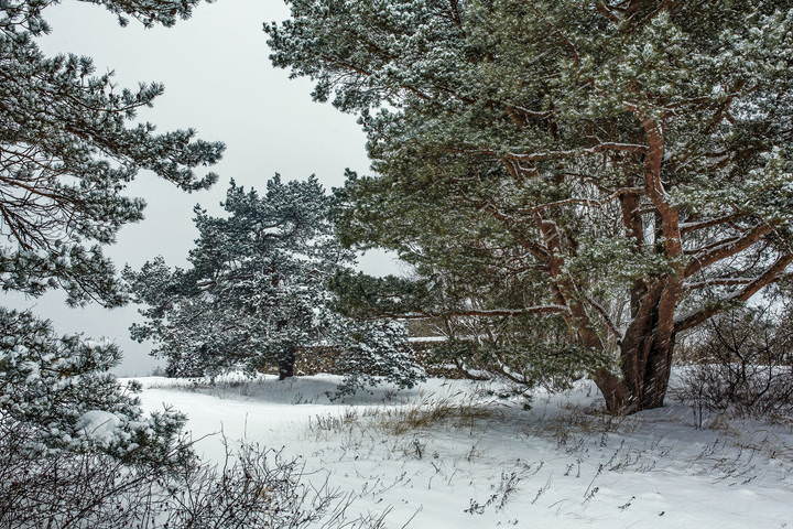 Saulkrasti 160116 2