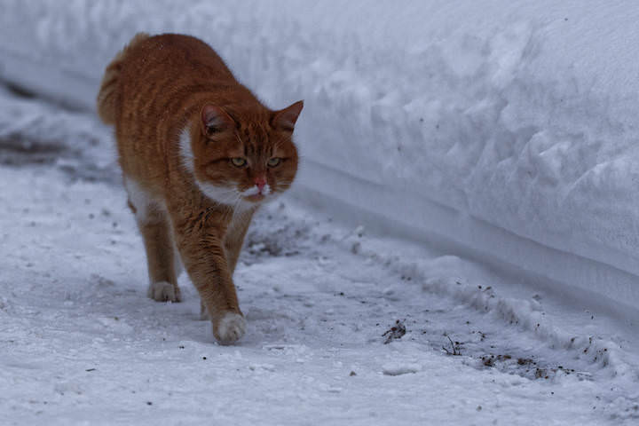 DSC_2155_DxO