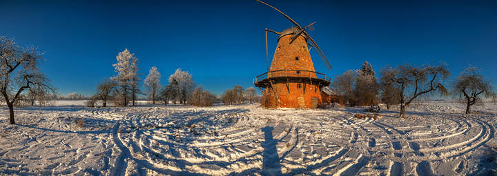 кругляки