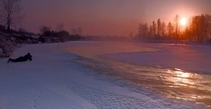 Фотосессия