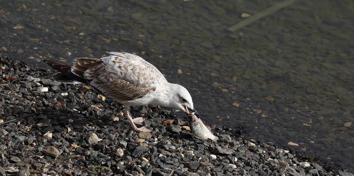 # 1