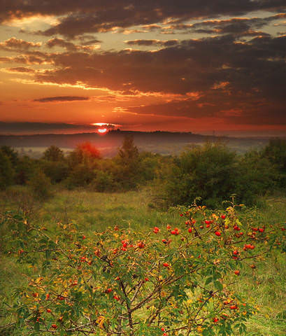 закатная