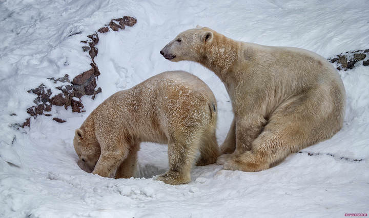 В очередь!!))