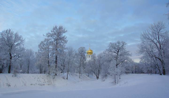 Морозное утро...