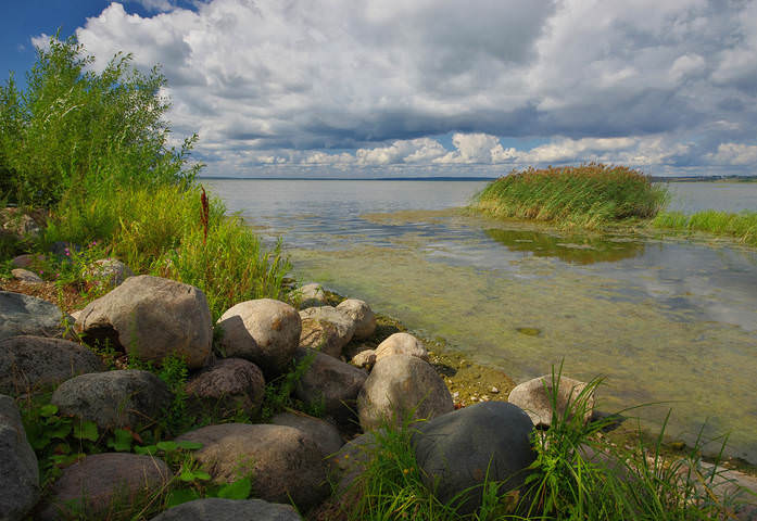 Плещеево лето