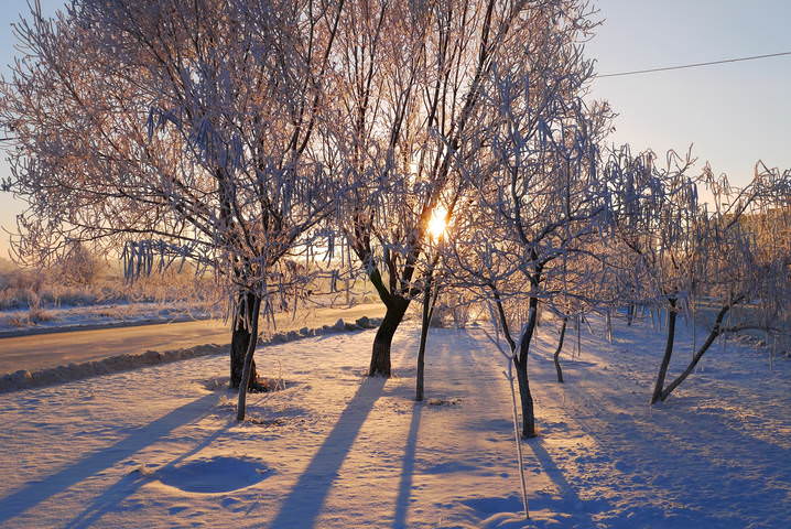 Зимнее утро.