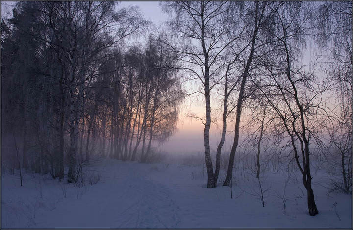 Зимний сон