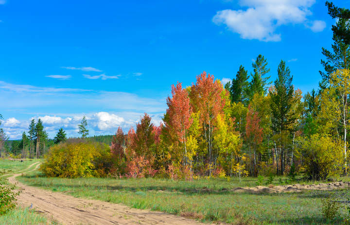 Краски осени