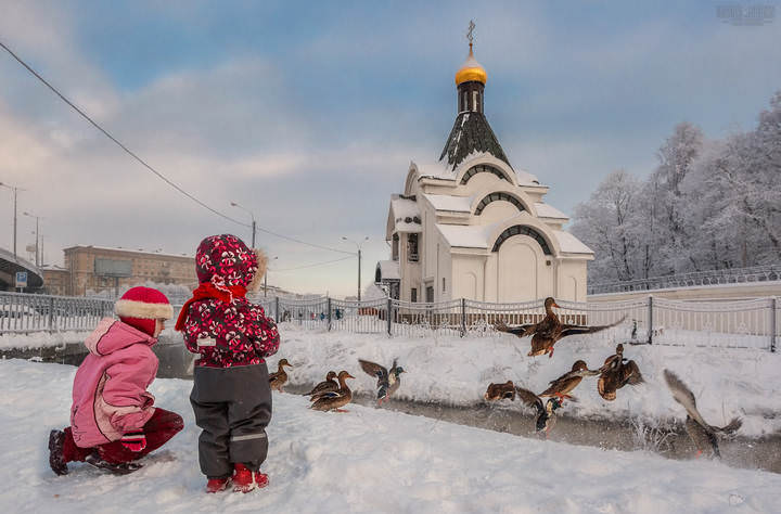 Питерская повседневность