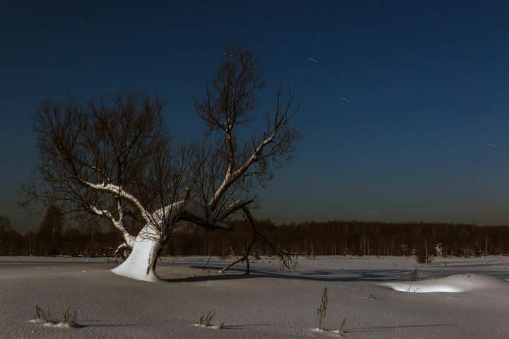 В лунном свете..