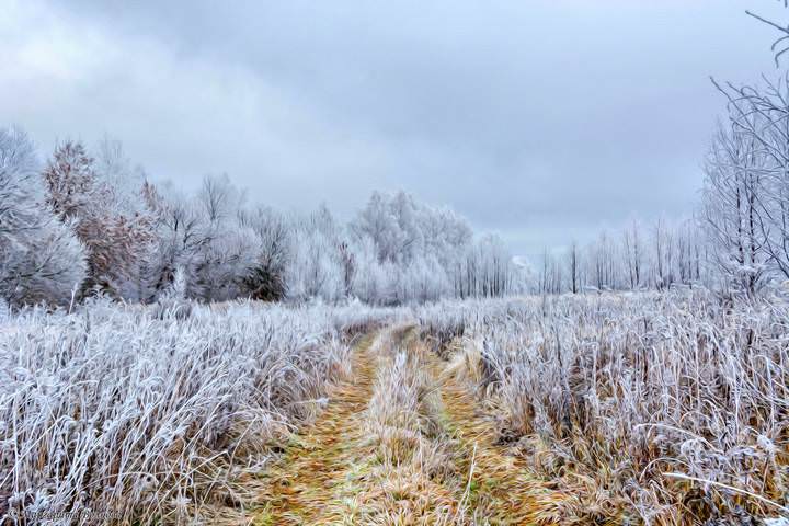Первый заморозок