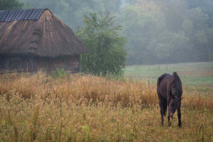 Осенняя неопределенность