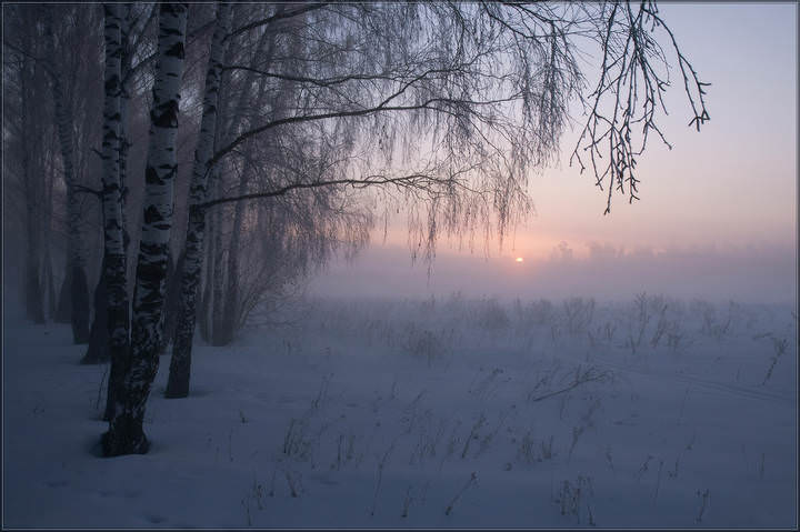 Берёзоньки
