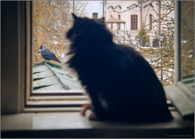 Вижу цель