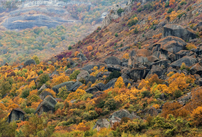 Крымский октябрь