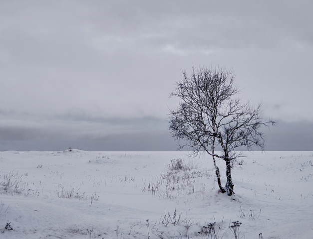 Белое море