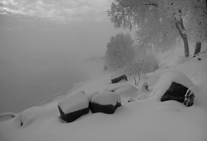 Чёрно-белые сны о зиме