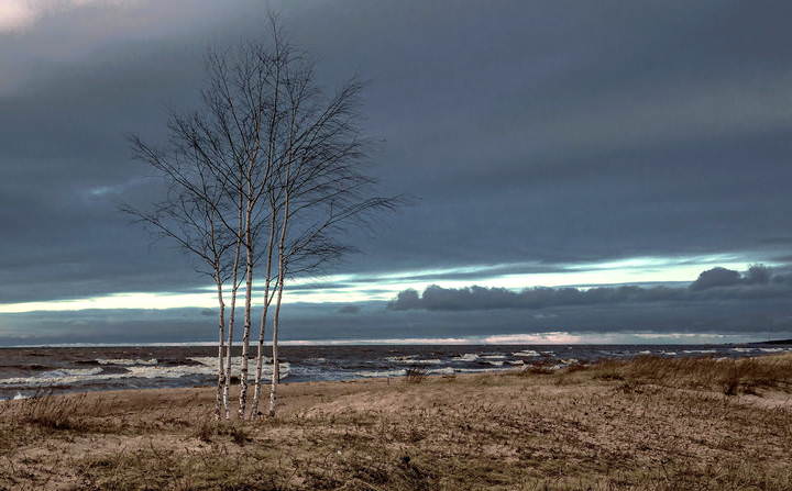 Saulkrasti 160116 7
