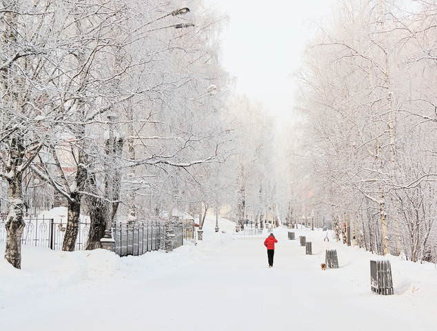 Зимнее