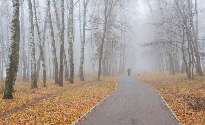 На осенней парковой дорожке
