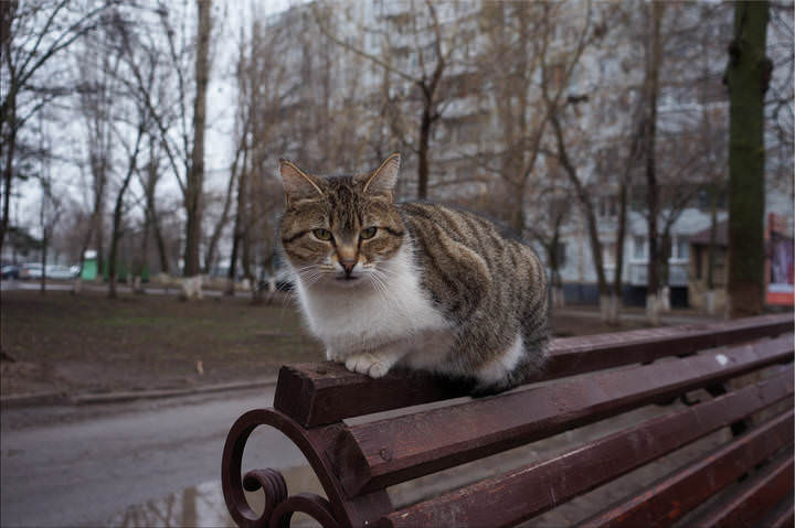 На скамеечке