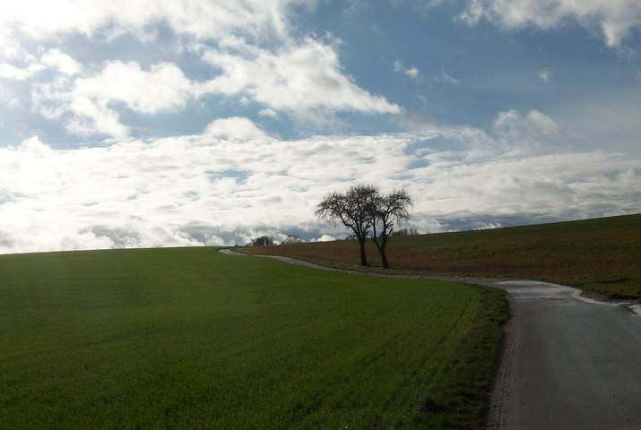 Andreas