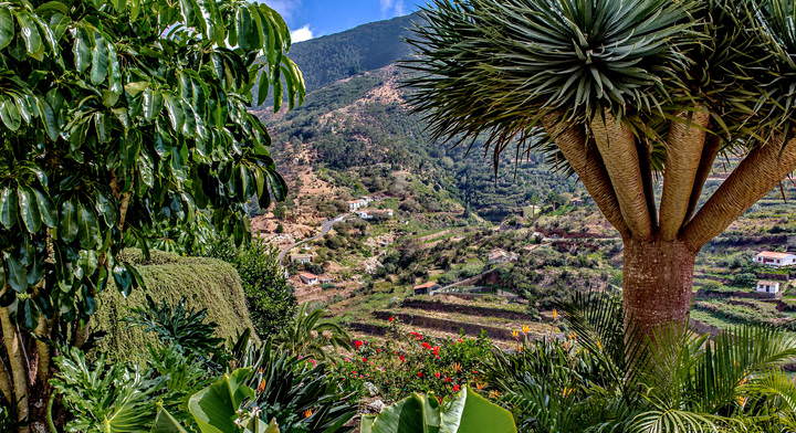 Spain 2015 Canary La Gomera 15