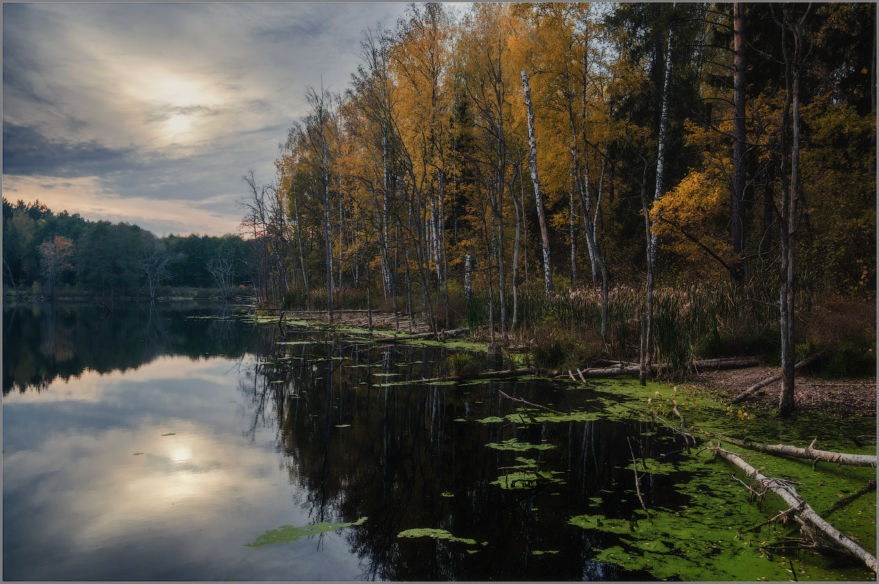 Осенний покой лесного озера