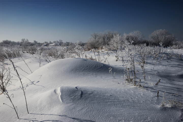 Зимние мотивы
