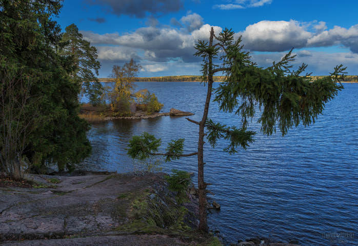 В Монрепо