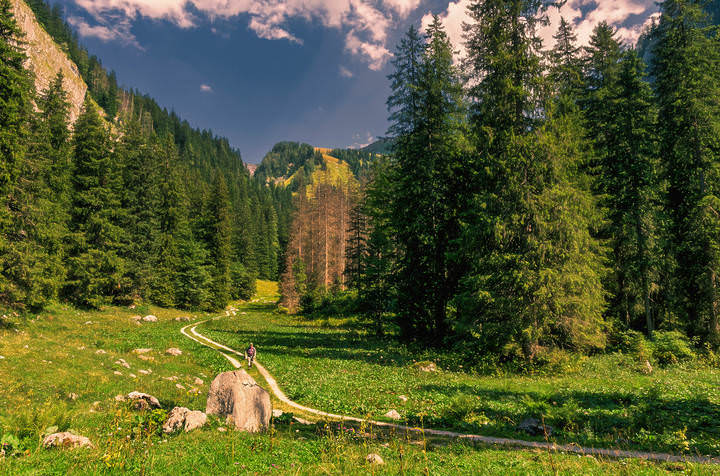 Альпийскими тропами