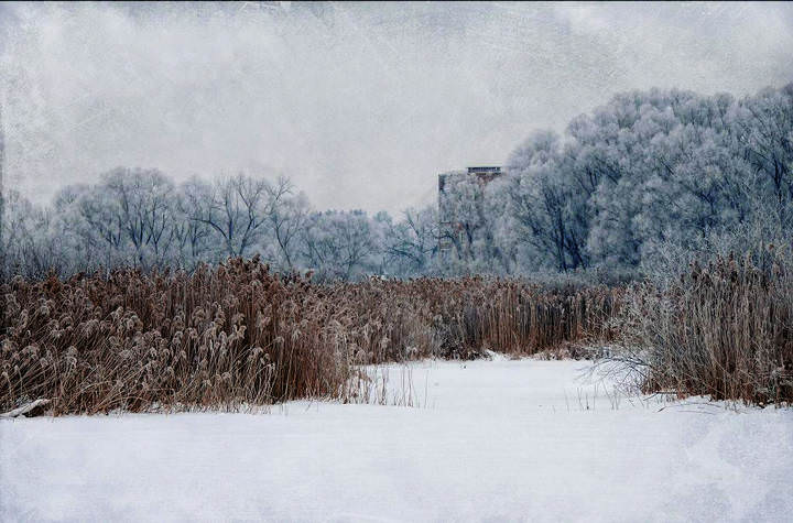 Зимние зарисовки