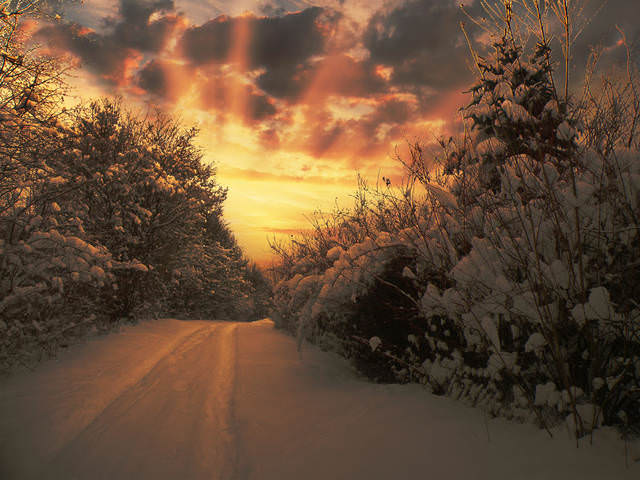 зимняя дорога