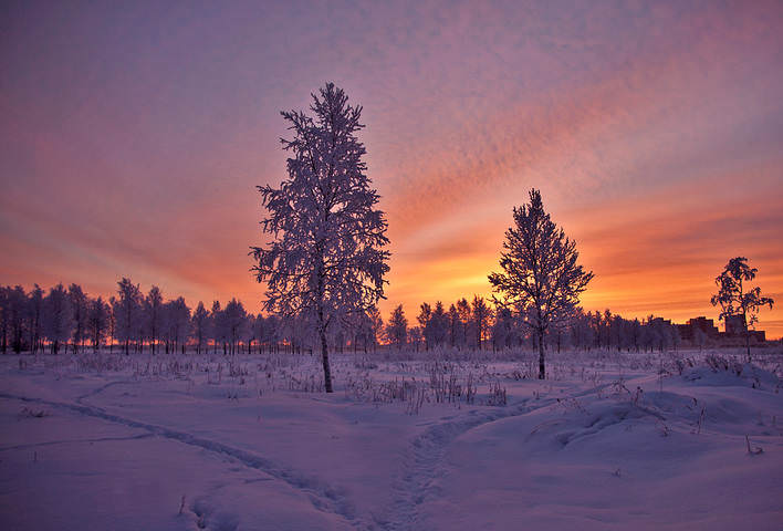 Яркое зимнее утро